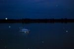 Dream... water instalation
