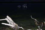 Dream... water instalation