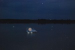 Dream... water instalation
