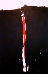 Black & White II, 180 x 120 cm, oil on canvas, 2007